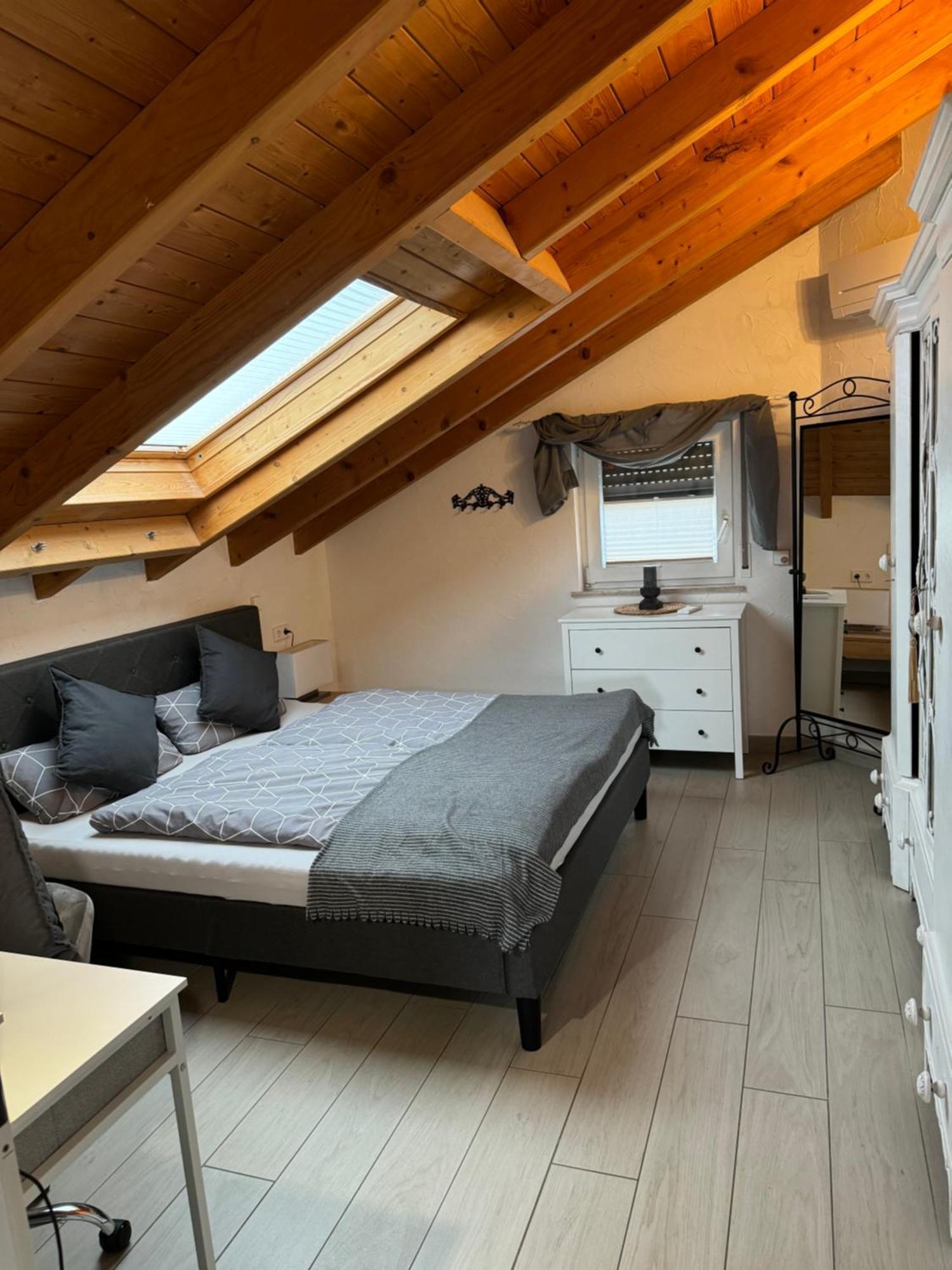 Spacy 3 Bedroom Plus Sleeping Couch Apartment Work&Travel Close To Heidelberg Dielheim Экстерьер фото